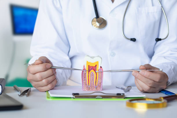 Best Emergency Cosmetic Dentistry (e.g., broken veneers) in Ridgetop, TN
